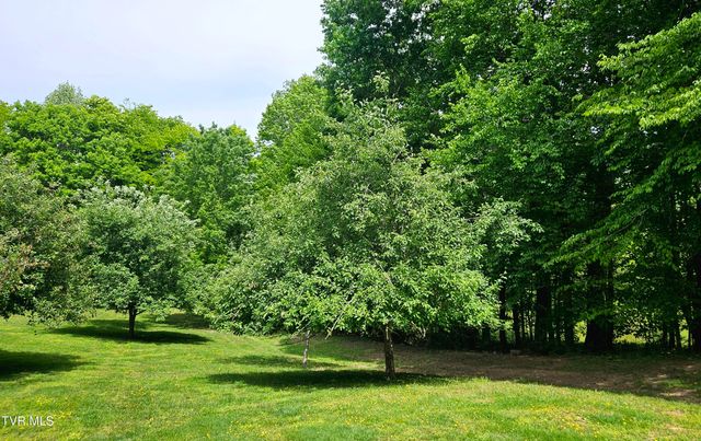 13544 Revera Drive, Mendota, VA 24270