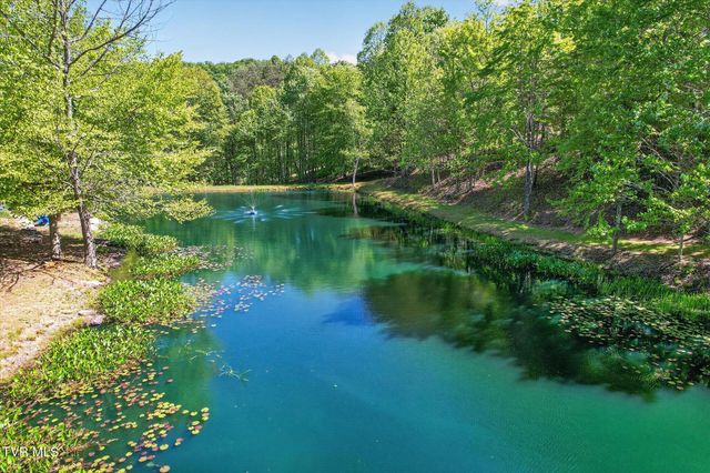 13544 Revera Drive, Mendota, VA 24270