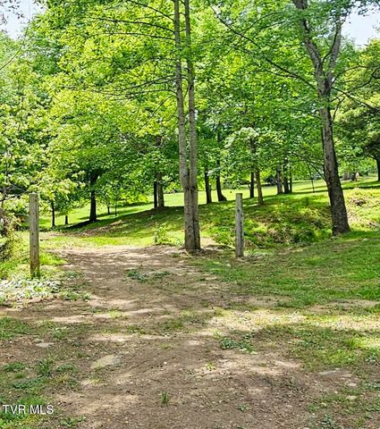 13544 Revera Drive, Mendota, VA 24270