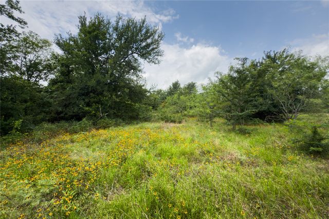 Lot 12 County Road 173, Marlin, TX 76661