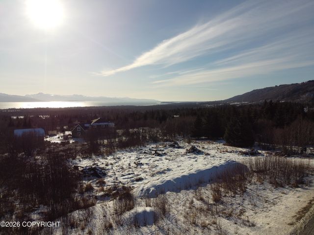 55049 Bonnie Avenue, Homer, AK 99603