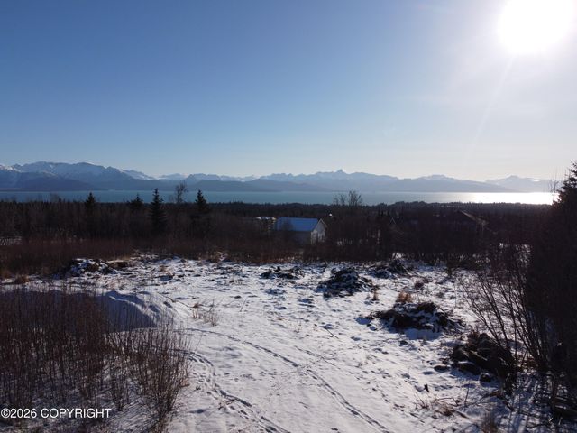 55049 Bonnie Avenue, Homer, AK 99603