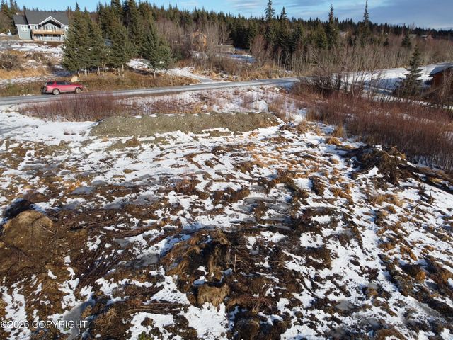 55049 Bonnie Avenue, Homer, AK 99603