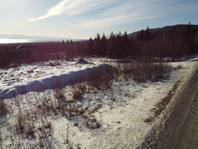 55049 Bonnie Avenue, Homer, AK 99603