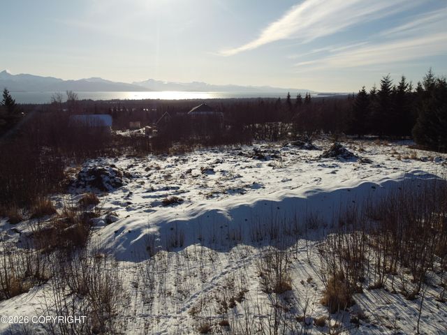 55049 Bonnie Avenue, Homer, AK 99603