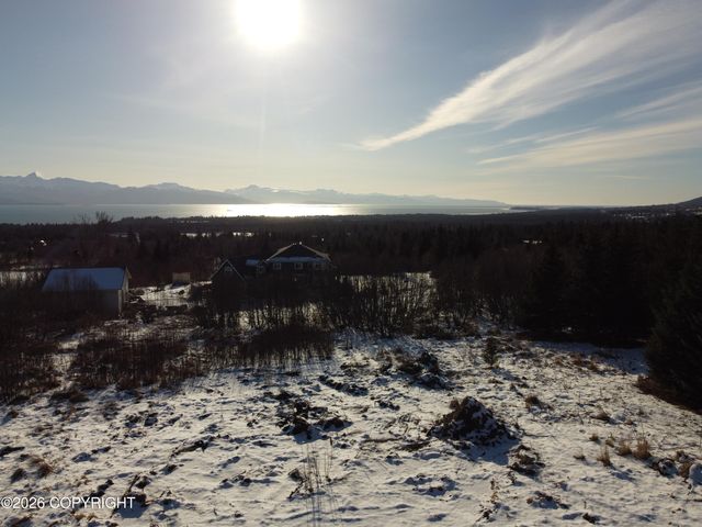 55049 Bonnie Avenue, Homer, AK 99603