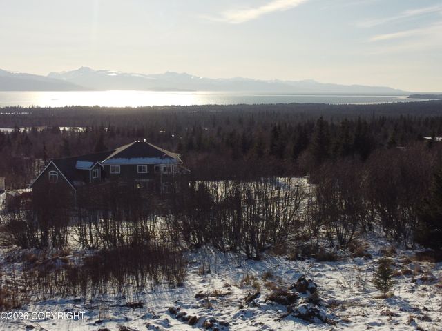 55049 Bonnie Avenue, Homer, AK 99603