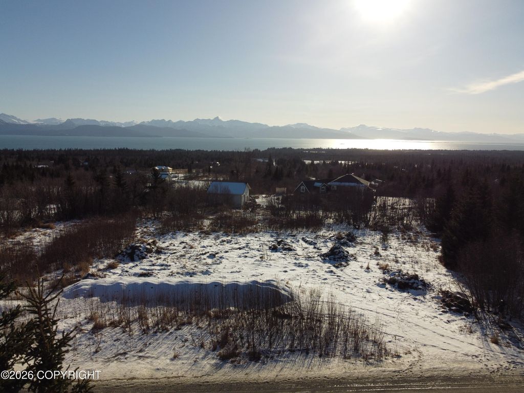 55049 Bonnie Avenue, Homer, AK 99603