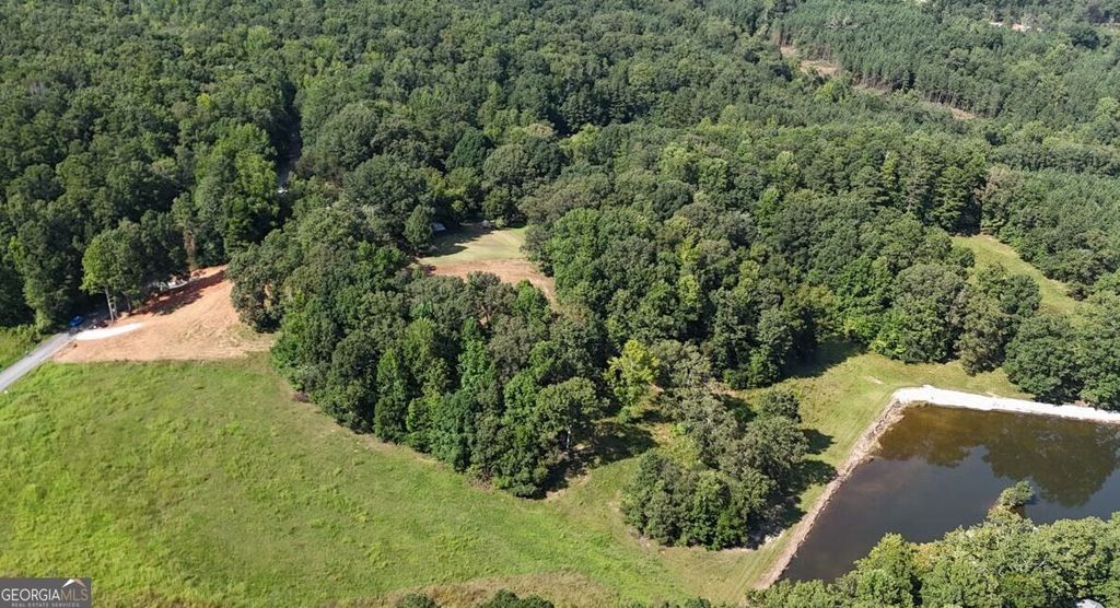 LOT 2 Snote Jones Road, Dallas, GA 30132 — photo 3