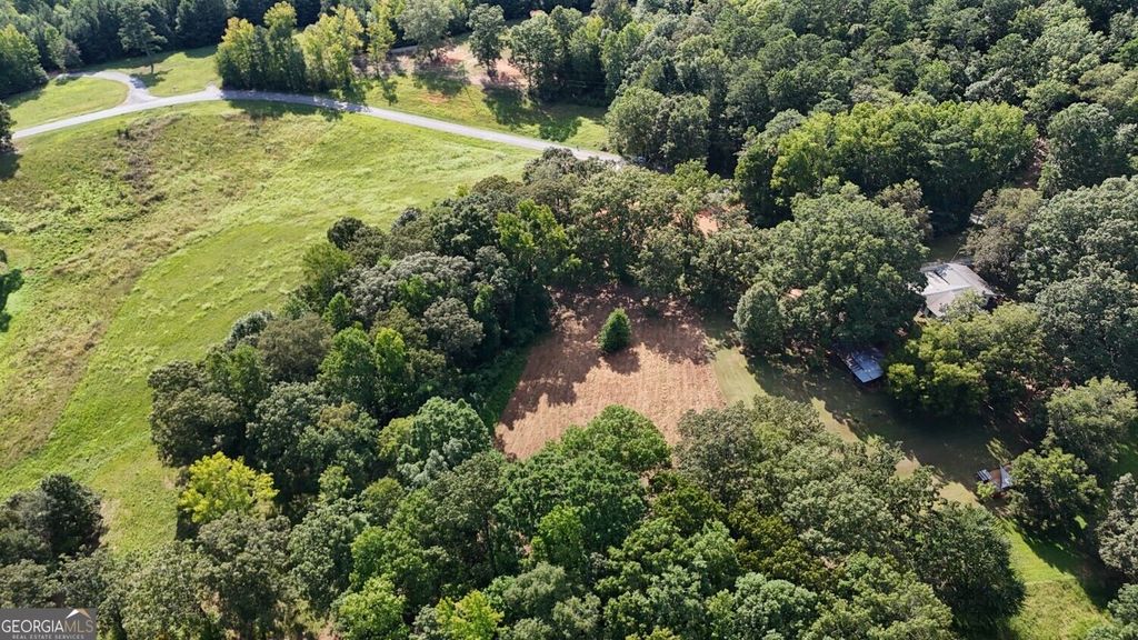 LOT 2 Snote Jones Road, Dallas, GA 30132 — photo 5