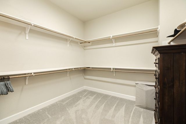 9806 Starry Night Lane, Manvel, TX 77578