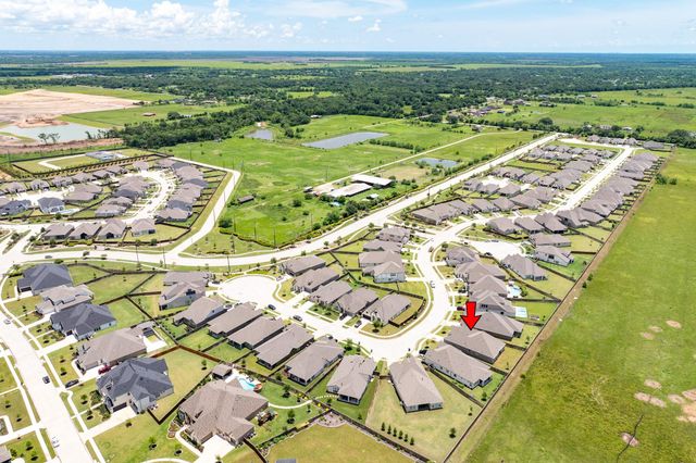 9806 Starry Night Lane, Manvel, TX 77578