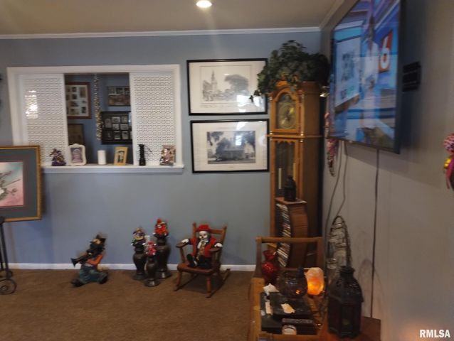 600 S SKYLINE Drive, Carbondale, IL 62901