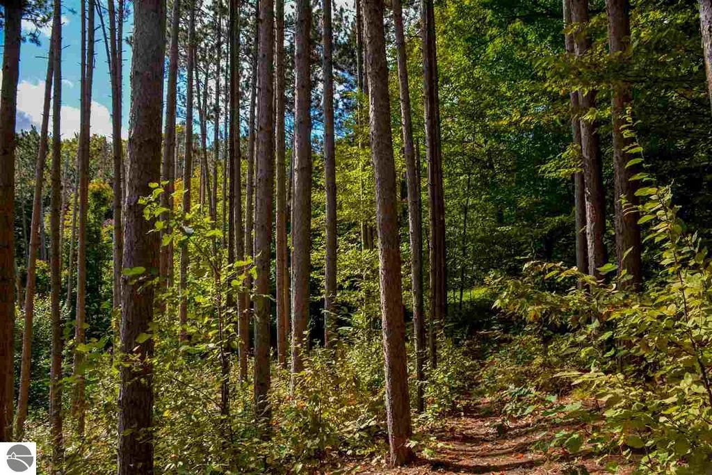 Image 15 of property listing at E Carter Road, Traverse City, MI 49684