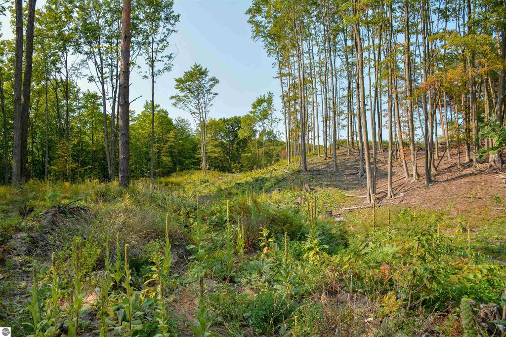 Image 18 of property listing at E Carter Road, Traverse City, MI 49684