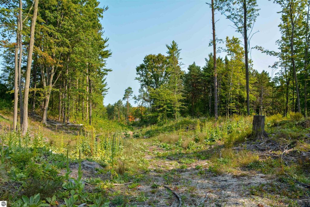 Image 22 of property listing at E Carter Road, Traverse City, MI 49684