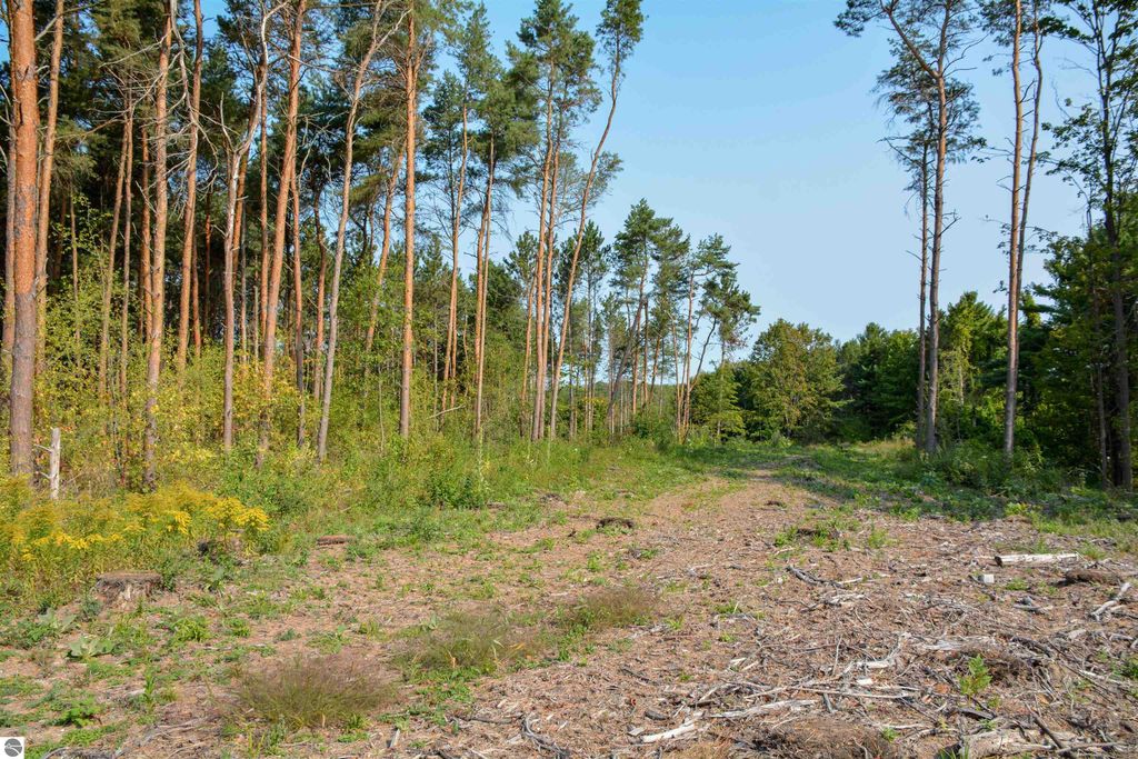 Image 27 of property listing at E Carter Road, Traverse City, MI 49684