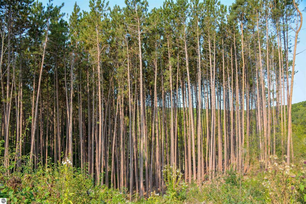 Image 33 of property listing at E Carter Road, Traverse City, MI 49684