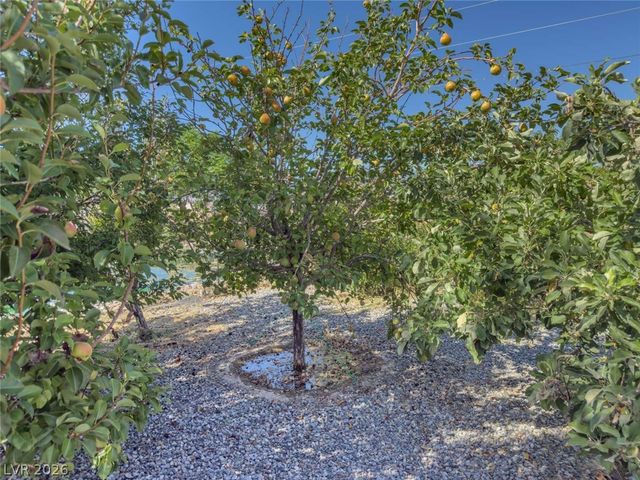 201 West Lupin Street, Pahrump, NV 89048