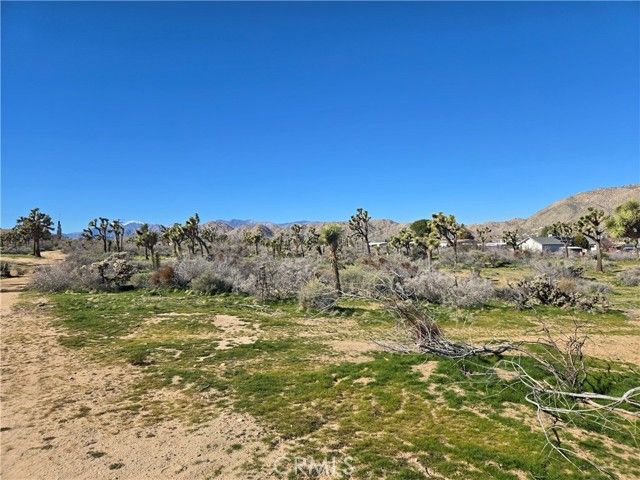 7484 Palm Avenue, Yucca Valley, CA 92284