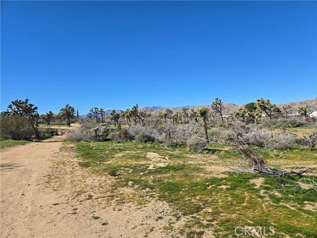 7484 Palm Avenue, Yucca Valley, CA 92284