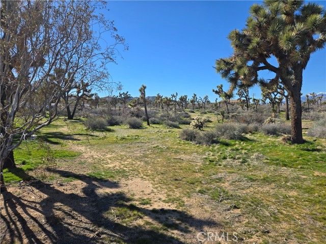 7484 Palm Avenue, Yucca Valley, CA 92284