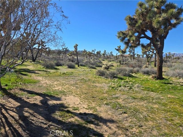 7484 Palm Avenue, Yucca Valley, CA 92284