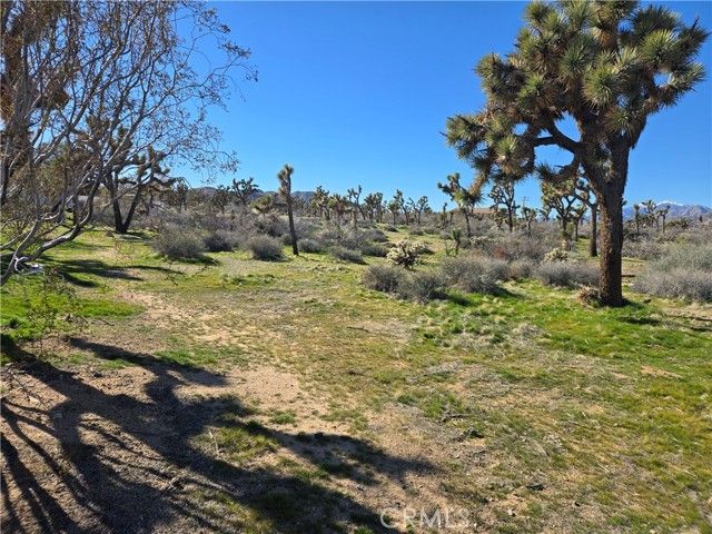 7484 Palm Avenue, Yucca Valley, CA 92284