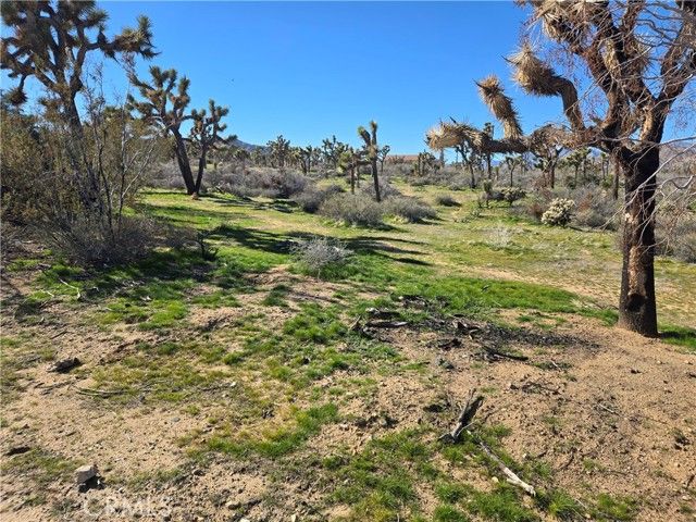 7484 Palm Avenue, Yucca Valley, CA 92284