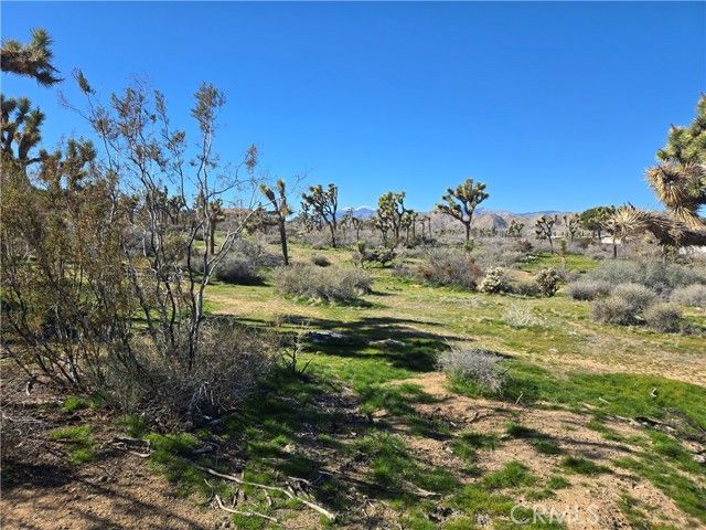 7484 Palm Avenue, Yucca Valley, CA 92284
