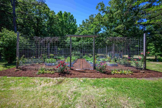 50 Hawkins Lane, Cord, AR 72524