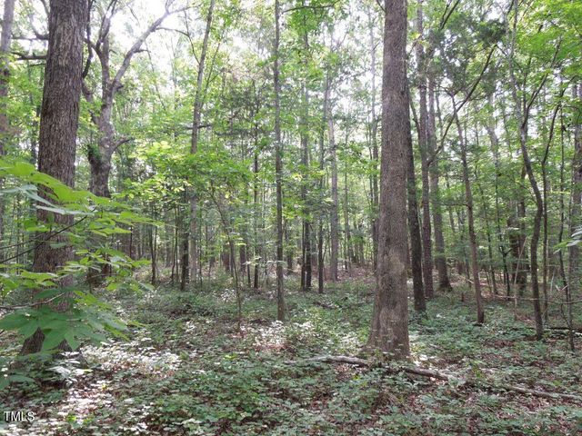 0 Webb Chapel Road, Oxford, NC 27565