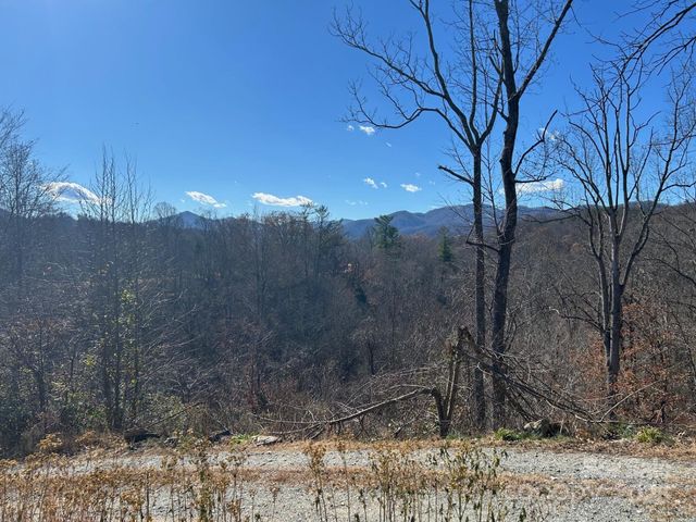 170 Starry Night Lane, Marshall, NC 28753