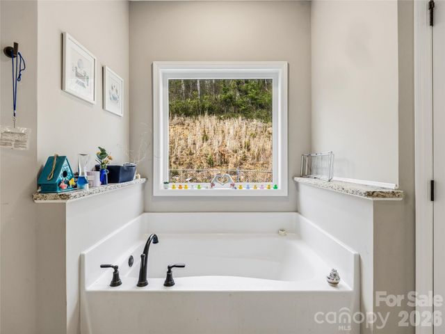 170 Starry Night Lane, Marshall, NC 28753