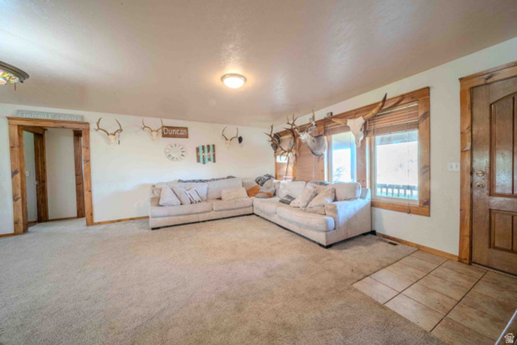 Image 17 of property listing at 3040 S 7455 W, Ioka, UT 84066