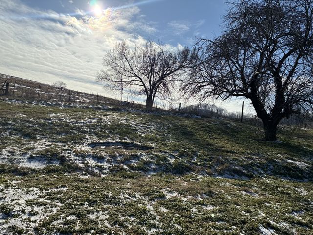 11 Stonewall Hwy, Carthage, TN 37030