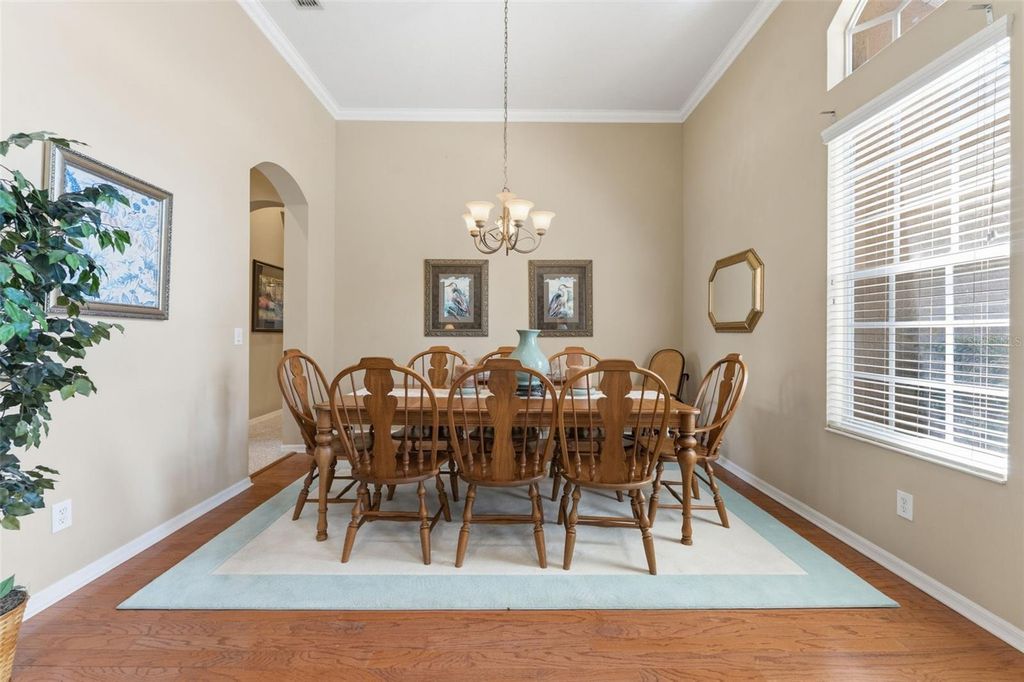 Image 7 of property listing at 5925 JEFFERSON PARK DRIVE, Tampa, FL 33625