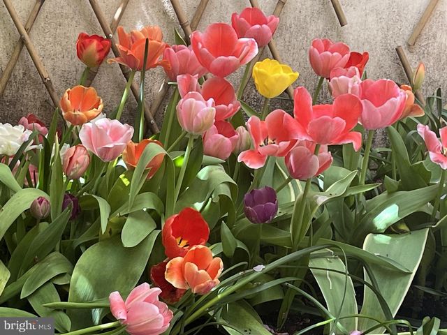 422 S CAMAC ST, Philadelphia, PA 19147