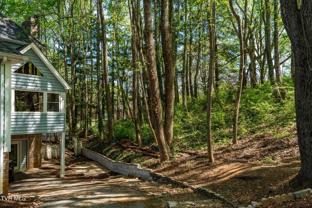 101 Knobb Hill Road, Johnson City, TN 37601