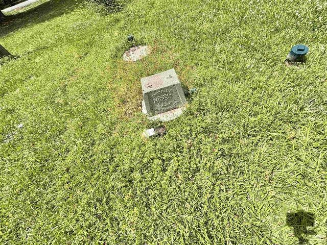 6031 Bayou Serpent Road, Lake Charles, LA 70615