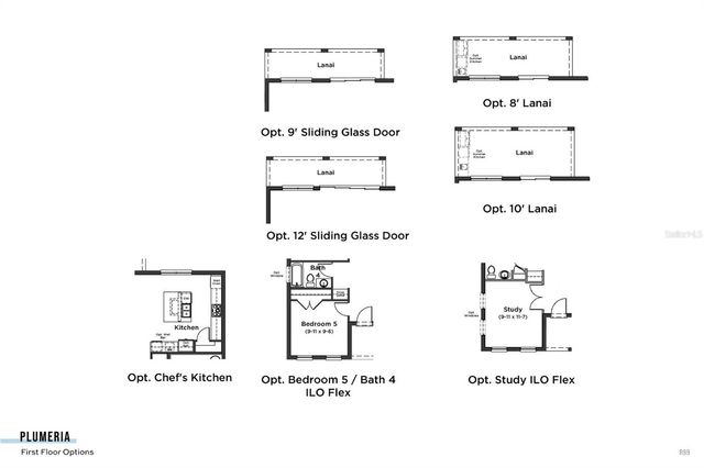 30333 EMERALD FOREST DRIVE, Mount Dora, FL 32757