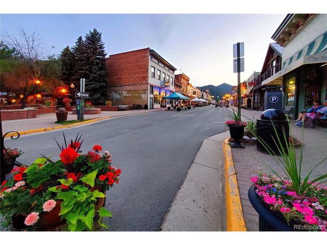 902 Virginia St, Idaho Springs, CO 80452