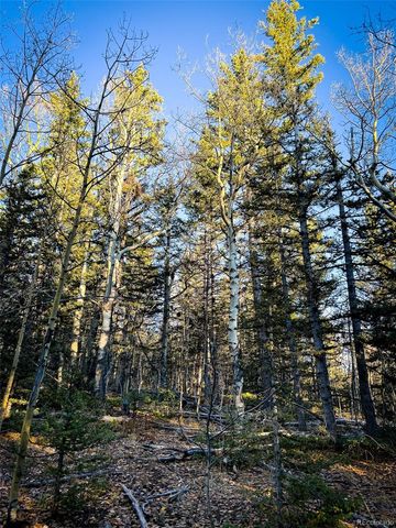 6817 Heckman Road, San Luis, CO 81152