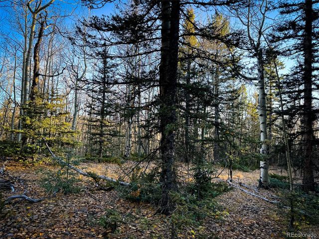 6817 Heckman Road, San Luis, CO 81152