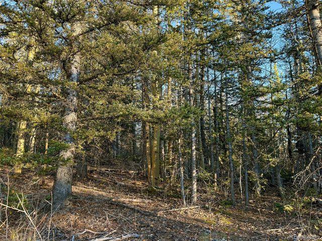 6817 Heckman Road, San Luis, CO 81152