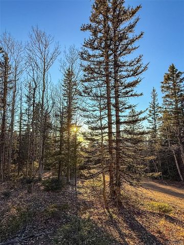 6817 Heckman Road, San Luis, CO 81152