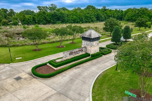 37537 Cypress Hollow Ave, Prairieville, LA 70769