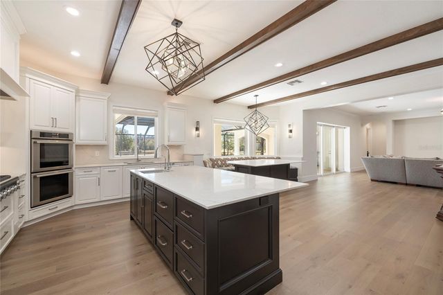 17253 BREEDERS CUP DRIVE, Odessa, FL 33556