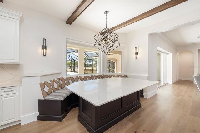 17253 BREEDERS CUP DRIVE, Odessa, FL 33556