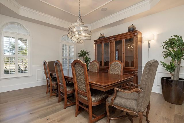 17253 BREEDERS CUP DRIVE, Odessa, FL 33556